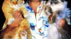 Casual rhapsodia: freddie mercury i njegove mačke